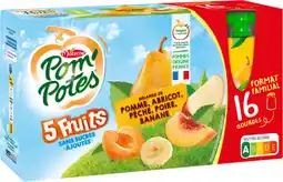 Auchan Pom potes compotes gourdes 5 fruits jaunes pom'potes offre