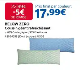 Costco Below zero coussin géant rafraîchissant offre