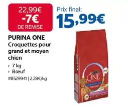 Costco PURINA ONE Croquettes pour grand et moyen chien offre