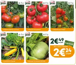 Ma Jardinerie Tomates offre