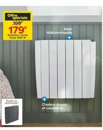 Radiateur Inertie Fluide 1000 W
