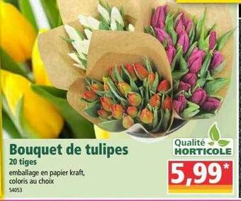 Norma Bouquet De Tulipes 20 Tiges offre