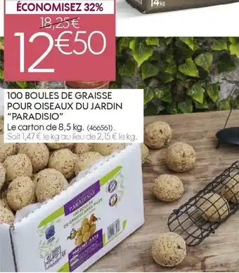 Truffaut Paradisio 100 boules de graisse pour oiseaux du jardin offre