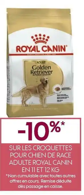 Truffaut Royal canin bon plan sur les croquettes pour chien de race adulte royal canin en 11 et 12 kg offre
