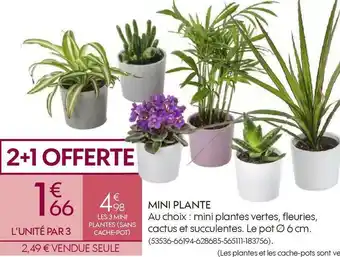 Truffaut Mini plante offre