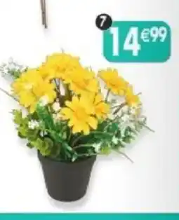 Maximo Pot de marguerites offre