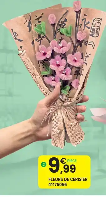 Fleurs de cerisier