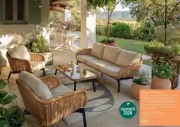 Botanic Salon bas aralia offre