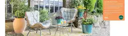 Botanic Salon bas hosta offre