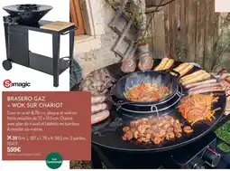 Botanic Somagic brasero gaz + wok sur chariot offre