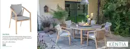 Botanic Kentia fauteuil offre