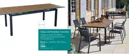 Botanic Table extensible tamaris offre