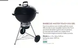 Botanic Barbecue master-touch 5755 gbs offre