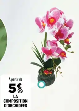Centrakor La composition d'orchidées offre