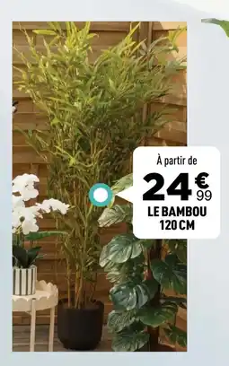 Centrakor Le bambou offre