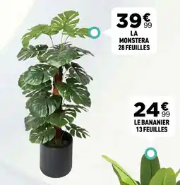 Centrakor La monstera 28 feuilles offre