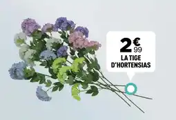 Centrakor La tige d'hortensias offre