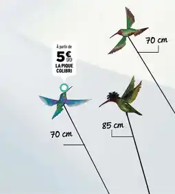 Centrakor La pique colibri offre