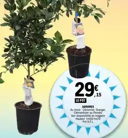 E.Leclerc Agrumes offre