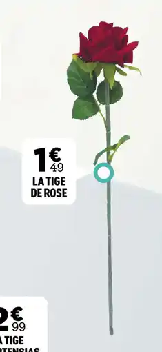Centrakor La tige de rose offre