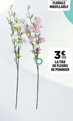 Centrakor La tige de fleurs de pommier offre