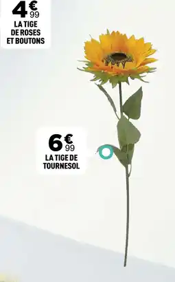 Centrakor La tige de roses et boutons offre