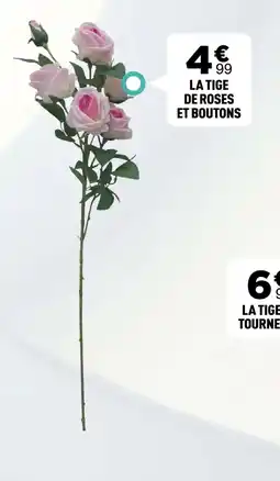 Centrakor La tige de roses et boutons offre