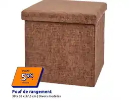 Action Pouf de rangement offre
