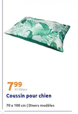 Action Coussin pour chien offre