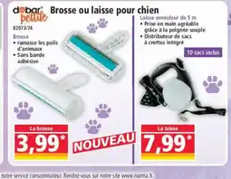 Norma Brosse ou laisse pour petite offre