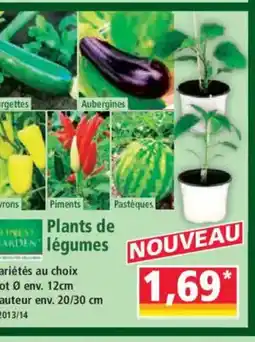Norma FINEST GARDEN Plants de légumes offre