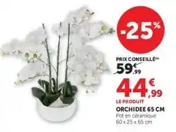 Hyper U ORCHIDEE 65 CM offre
