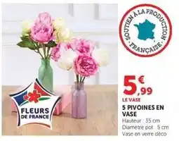Hyper U 5 Pivoines en Vase offre
