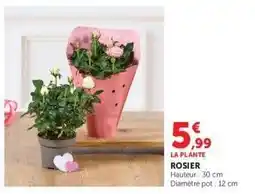 Hyper U Rosier offre