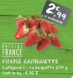 G20 Fraise gariguette offre