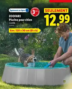 Lidl Zoofari piscine pour chien offre