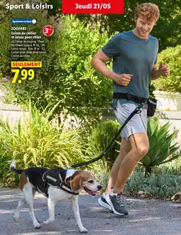 Lidl Zoofari laisse ou collier et laisse pour chien offre