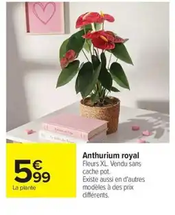 Carrefour Anthurium royal offre