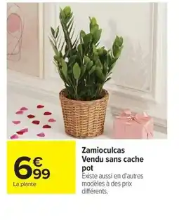 Carrefour Zamioculcas Vendu sans cache pot offre