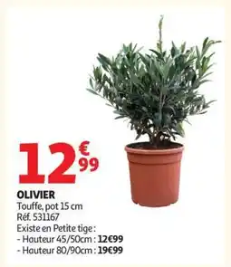Auchan Olivier offre