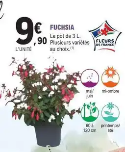 E.Leclerc Fuchsia offre