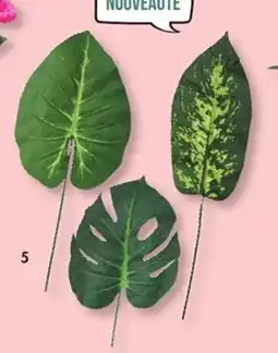 E.Leclerc Tiges feuillages différents modèles disponibles: monstera,dieffenbachia offre