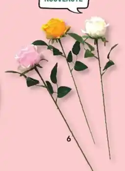 E.Leclerc Tige bouton de rose jaune blanche,rose offre
