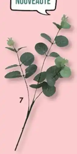 E.Leclerc Tige eucalyptus 3 branches offre