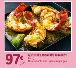 E.Leclerc QUEUE DE LANGOUSTE SURGELÉ offre