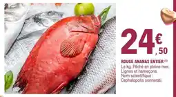 E.Leclerc ROUGE ANANAS ENTIER offre