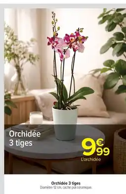 Carrefour TEX Orchidée 3 tiges offre