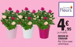 E.Leclerc Rosier bi couleur offre