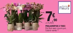 E.Leclerc Phalaenopsis 2 tiges offre