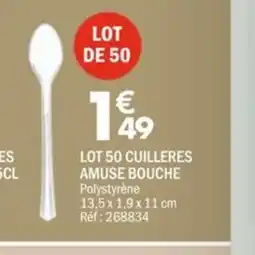 La Foir'Fouille Lot 50 cuilleres amuse bouche offre